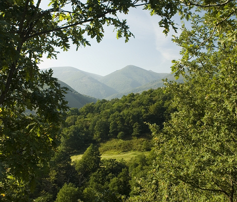 correpoco cantabria