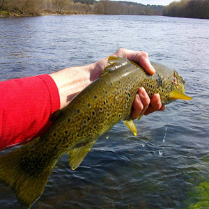 pesca correpoco